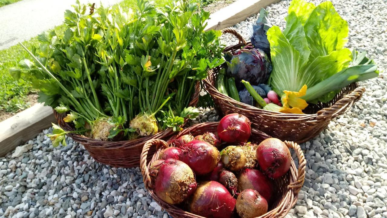 Agriturismo La Flu San Martino in Badia Dış mekan fotoğraf