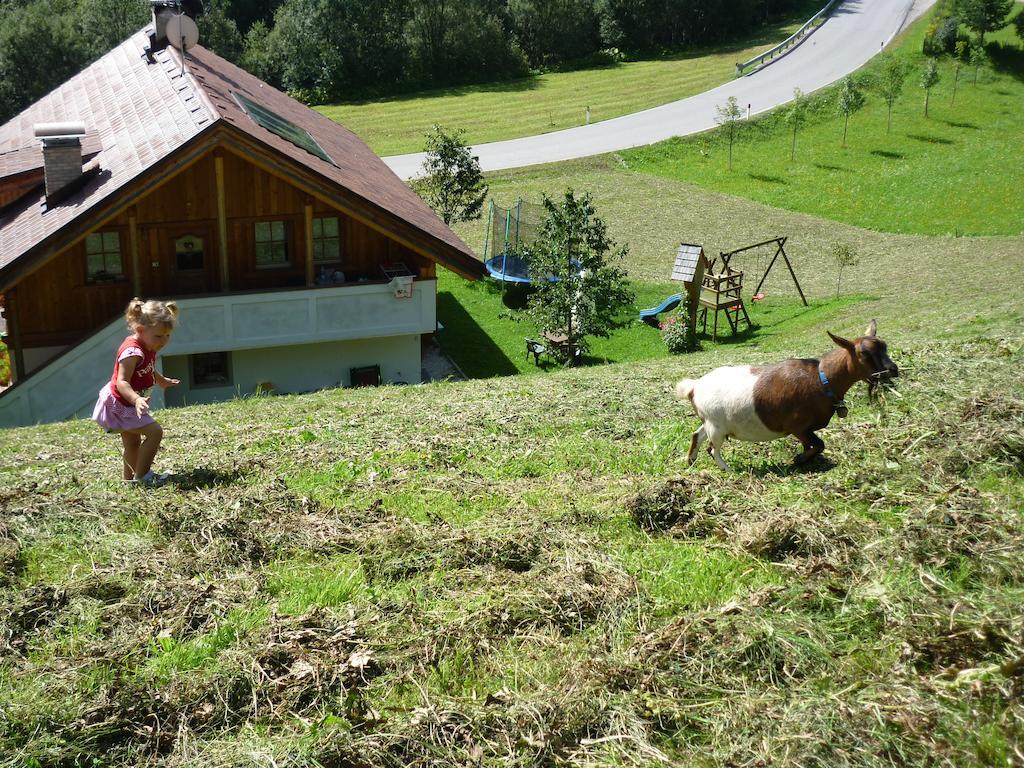 Agriturismo La Flu San Martino in Badia Dış mekan fotoğraf